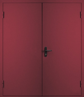 Двупольная глухая противопожарная дверь EI 60 с порошковым напылением (RAL 3007)